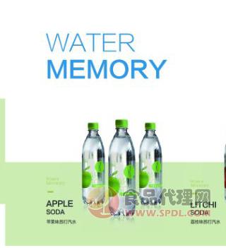 水记忆苏打汽水480ml