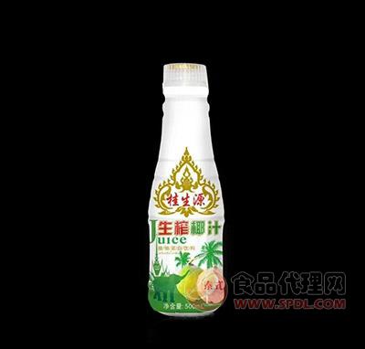 桂生源生榨椰汁500ml