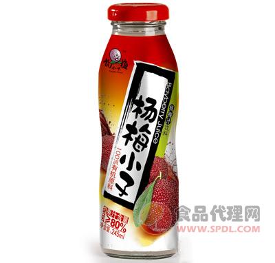 杨梅小子果汁瓶装245ml