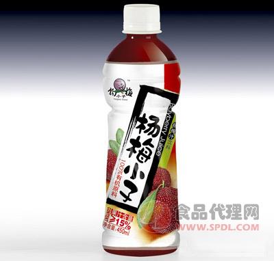 杨梅小子果汁饮料450ml