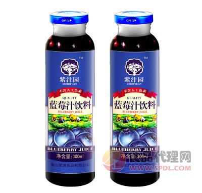 紫汁园蓝莓汁饮料300ml