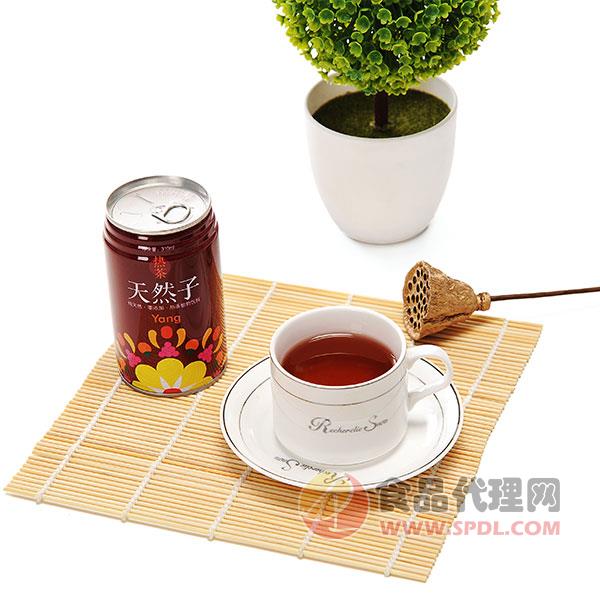 天然子热茶植物饮料310毫升