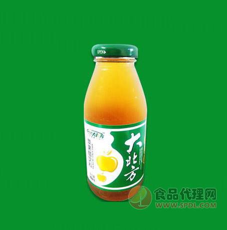 大北方苹果醋260ml