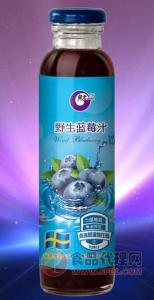 极光野生蓝莓汁300ml