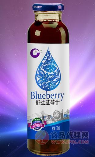 蓝莓汁饮料300ml