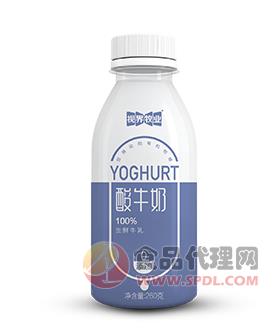 视界牧业高端酸牛奶260g