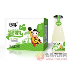 粒汁健发酵果乳饮料椰子牛奶饮料1Lx6瓶