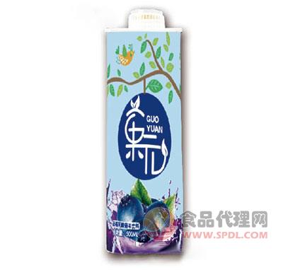 菓元蓝莓乳酸菌味饮料果味饮品果乳饮料瓶装1L
