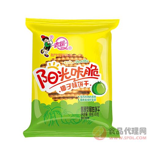 青援阳光咔脆椰子味饼干40g