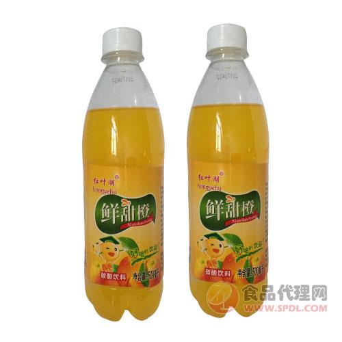 红叶湖鲜甜橙碳酸饮料果味饮料汽水500ml