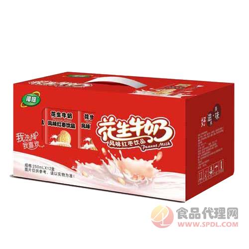 椰庭花生牛奶风味红枣饮品果乳饮料礼盒250mlx12盒