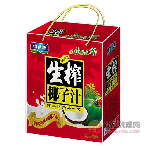 维智源生榨椰子汁椰汁植物蛋白饮料高凹顶礼盒