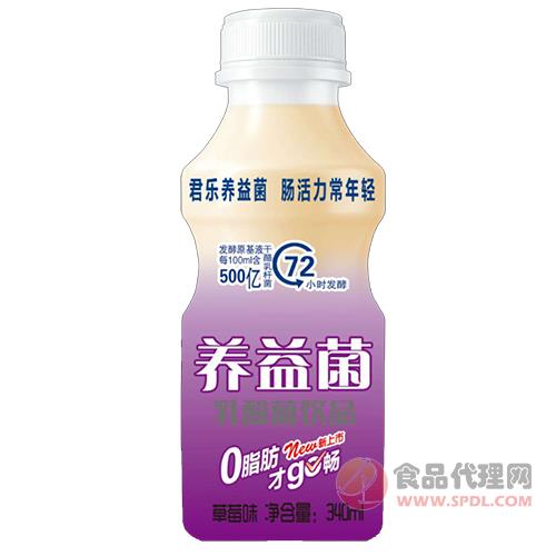 君乐养益菌乳酸菌饮品草莓味乳饮品340ml