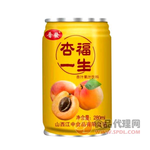 晋發饮品杏福一生杏汁果汁饮料280ml
