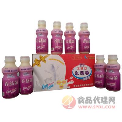 君乐养益菌乳酸菌饮品340ml招商