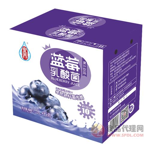 宜养乳酸菌蓝莓汁饮品1.5LX6瓶