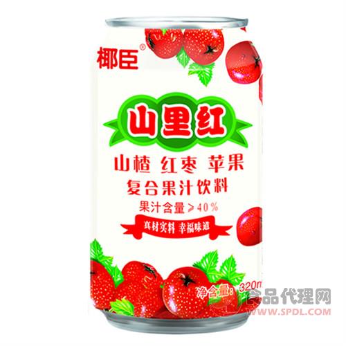 椰臣山里红山楂红枣苹果复合果汁饮料320ml招商