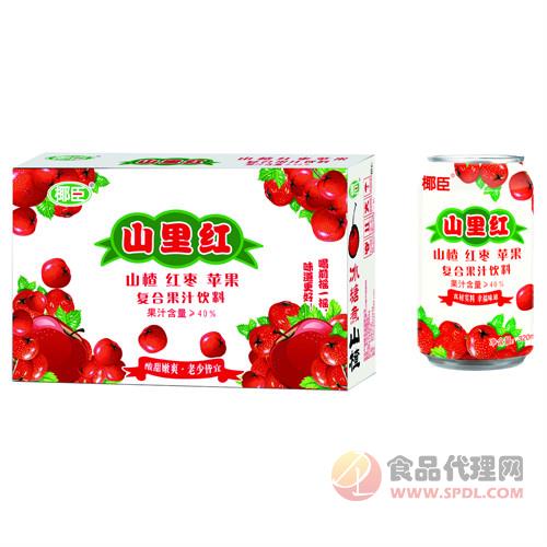 椰臣山里红山楂红枣苹果复合果汁饮料标箱招商