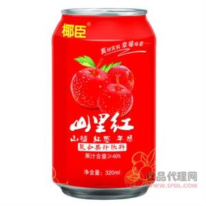 椰臣山里红山楂红枣苹果复合果汁饮料320ml招商