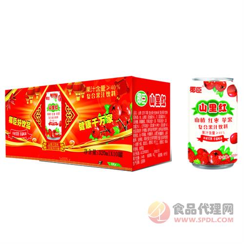 椰臣山里红山楂红枣苹果复合果汁饮料标箱招商
