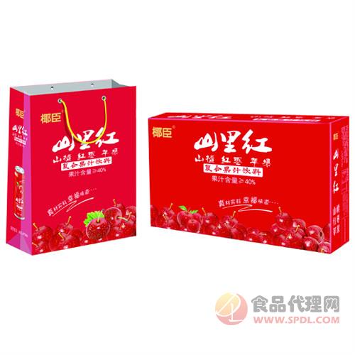 椰臣山里红山楂红枣苹果复合果汁饮料礼盒招商