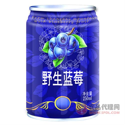 椰臣野生蓝莓汁饮料250ml招商