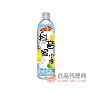 赢人心抖音蜜柠水柠檬果味饮料500ml