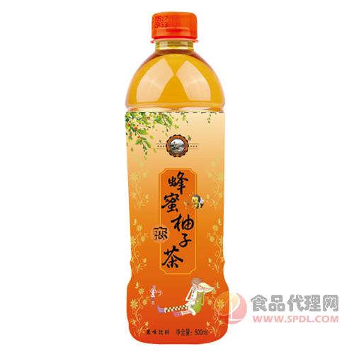 GR9520蜂蜜柚子茶果味飲料500ml