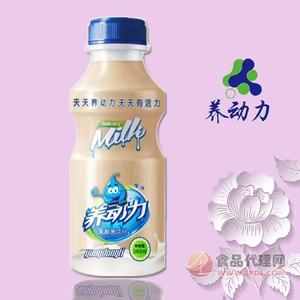 养动力乳酸菌340ML招商代理