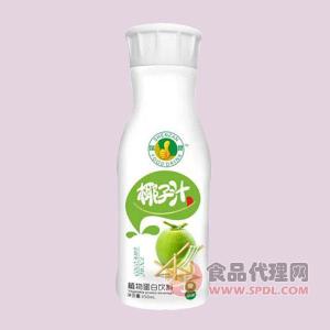 深赞椰子汁植物蛋白饮料350ml