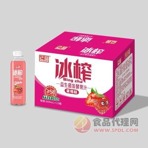 川汁鑫草莓发酵果汁饮料488ml招商