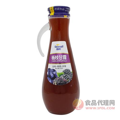 海帆杨枝甘露复合果汁饮料（蓝莓+桑葚+树莓）手柄瓶1.5L