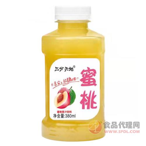 三分天地蜜桃果汁饮料380ml