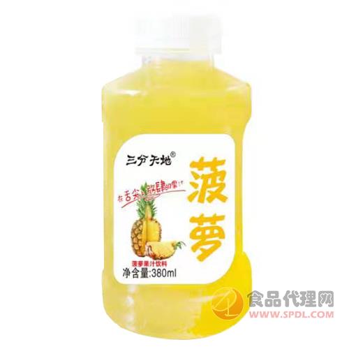 三分天地菠蘿復(fù)合果汁飲料380ml