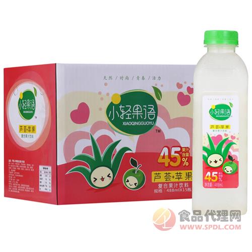 小轻果语芦荟+苹果复合果汁饮料488mlx15瓶