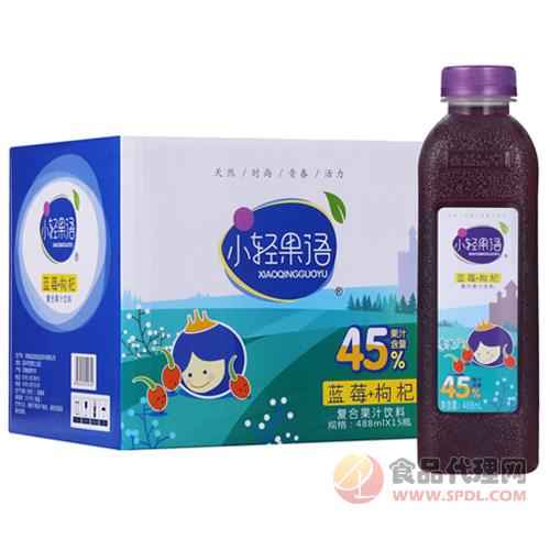 小轻果语蓝莓+枸杞复合果汁饮料488mlx15瓶