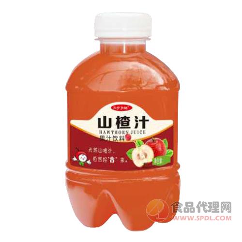 三分天地山枣汁果汁饮料380ml