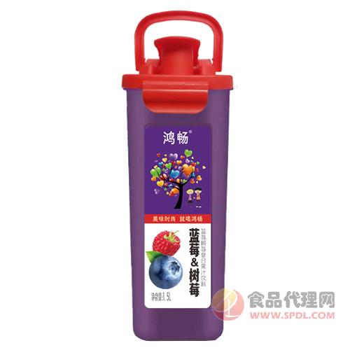 鸿畅蓝莓树莓复合果汁饮料乐扣杯1.5L