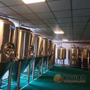 整套精酿啤酒设备配置  定制加工啤酒设备工厂